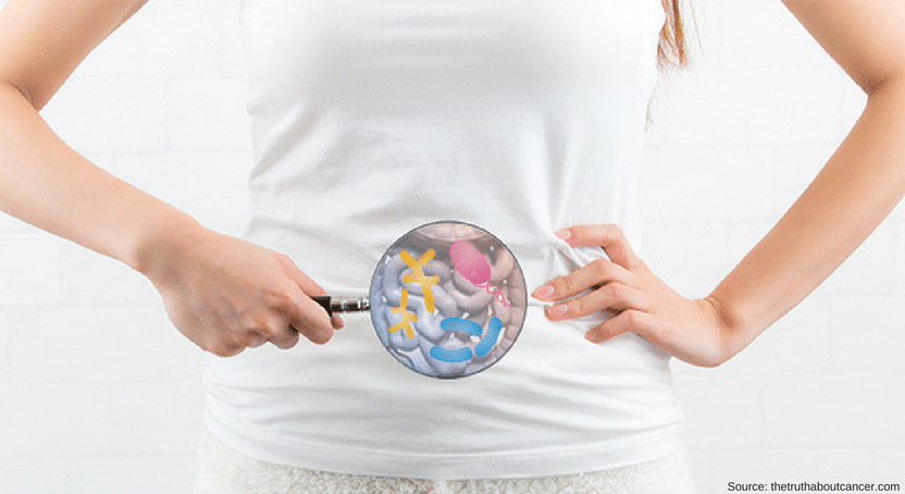 Gut Microbes Explained – How to Create a Healthy Gut