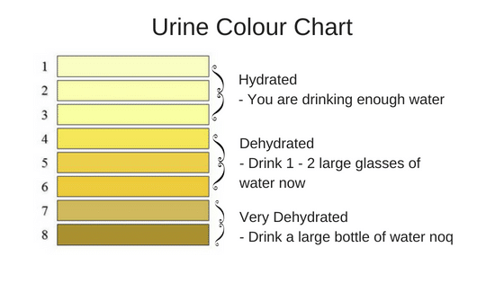 Urine Colour Chart | The Biting Truth