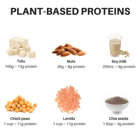 How to Meet Your Protein Needs on a Flexitarian or Vegetarian Diet