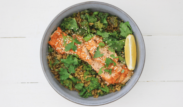 Supergrain Salmon & Kale Harrisa Bowl