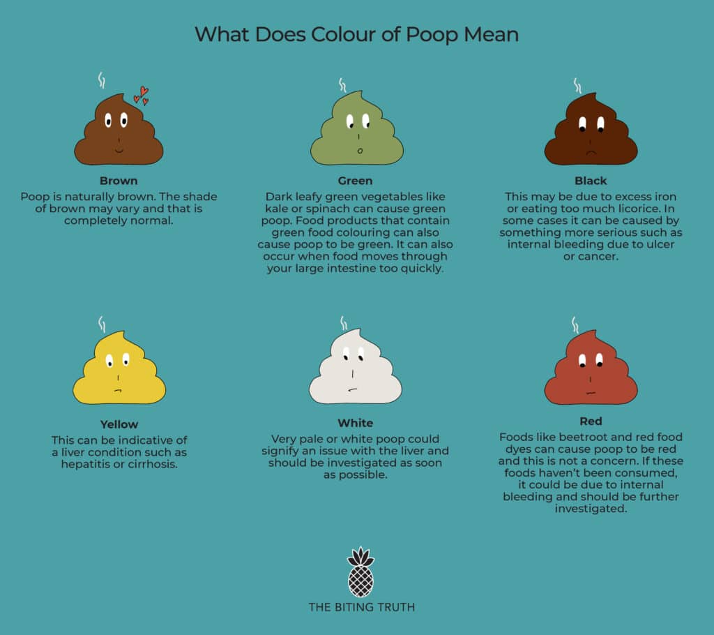 Is My Poo Healthy & Normal? Dietitians Explain | The Biting Truth