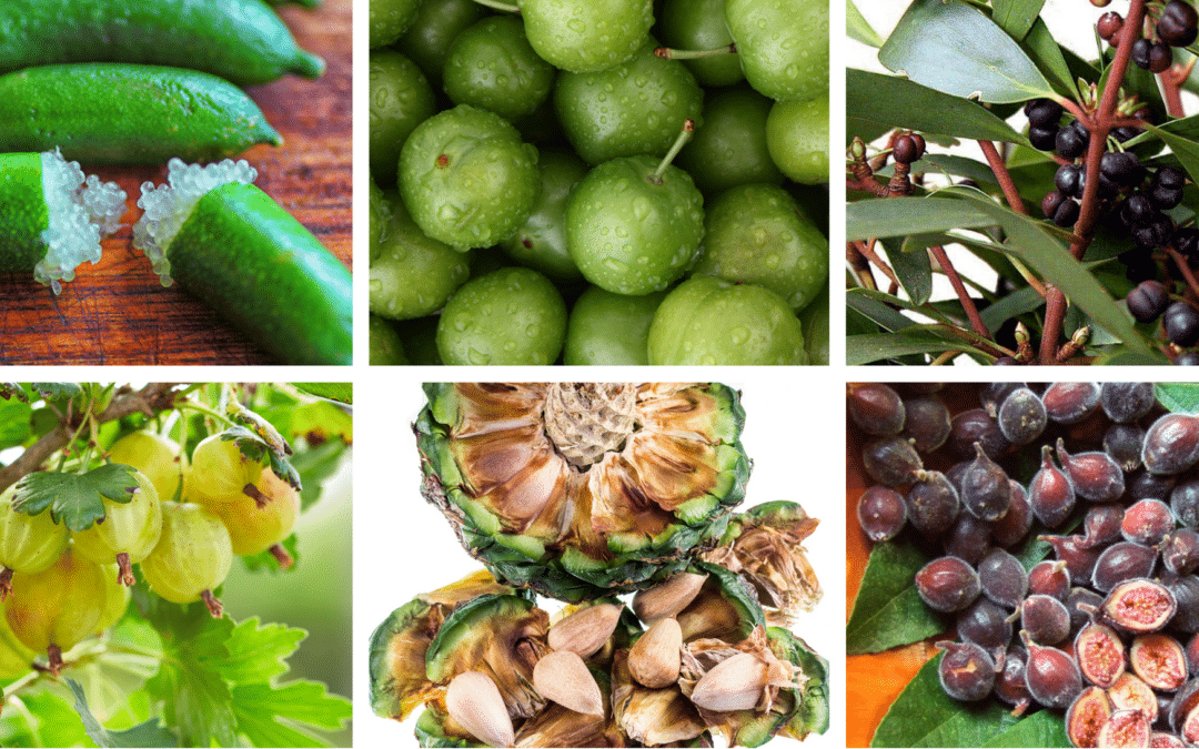 7 Australian Bush Foods to Add to Your Diet